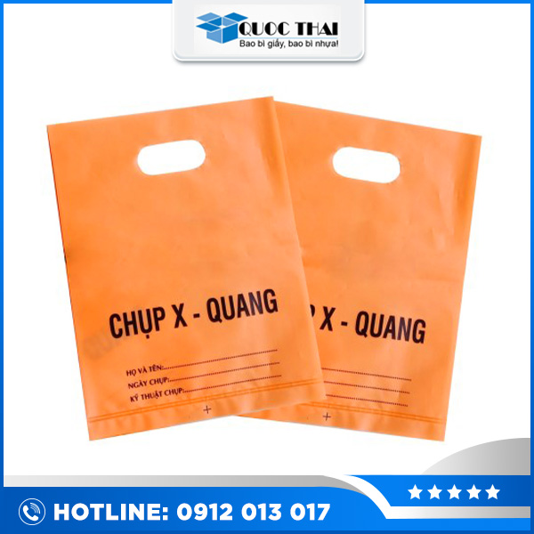 Túi hột xoài